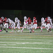 IMG-0274