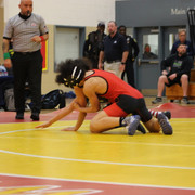 IMG-0215