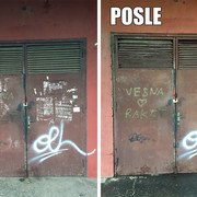 IMG-6503