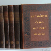 IMG-7386