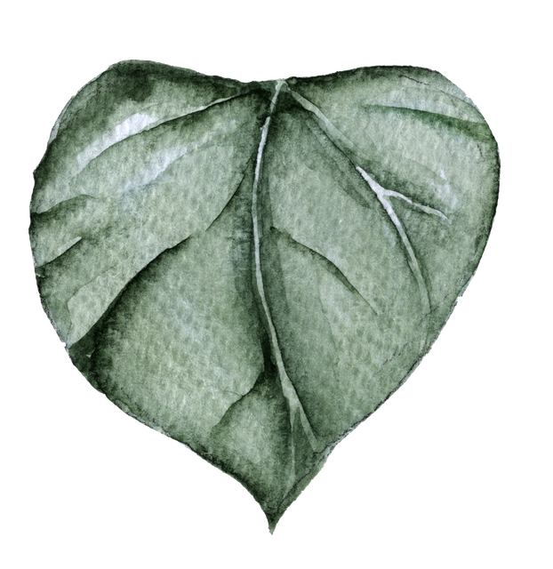 leaf-1.png