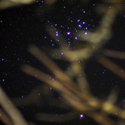 1c00181m