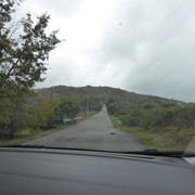 P1010491