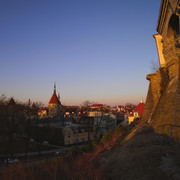 OLYMPUS-DIGITAL-CAMERA