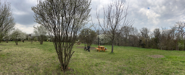 IMG-8781.jpg