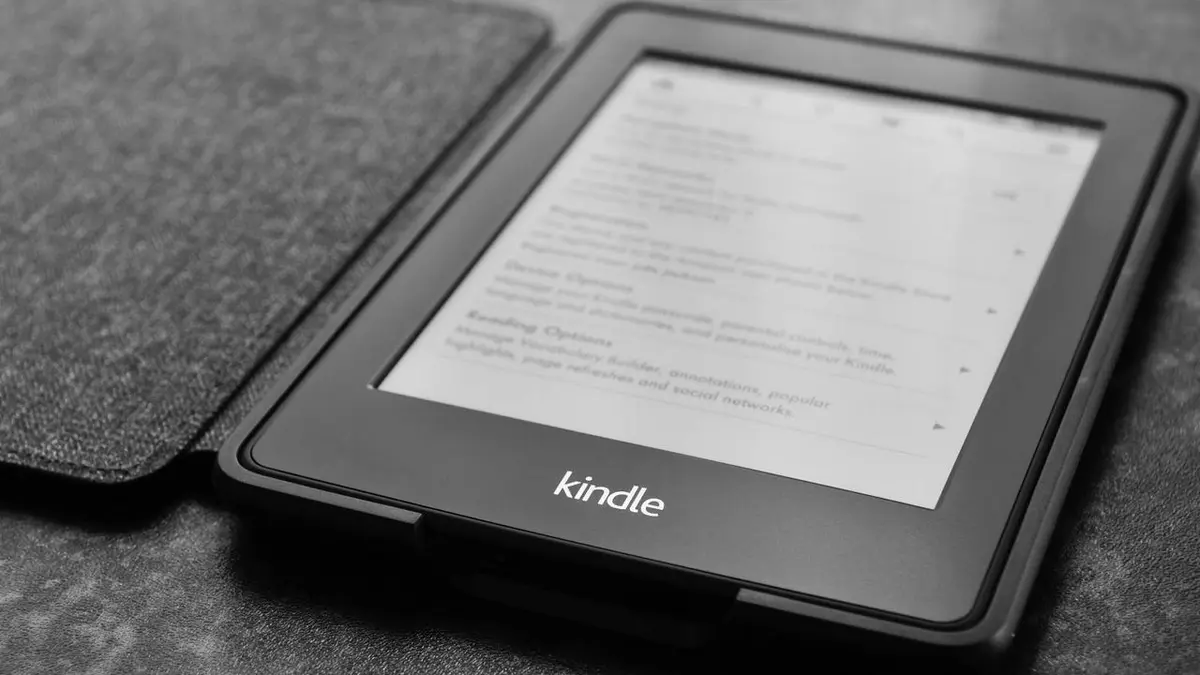 Replaceable Batteries for Future Kindles?