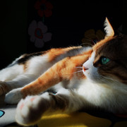 IMG-20220112-112411