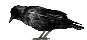 image1786976597