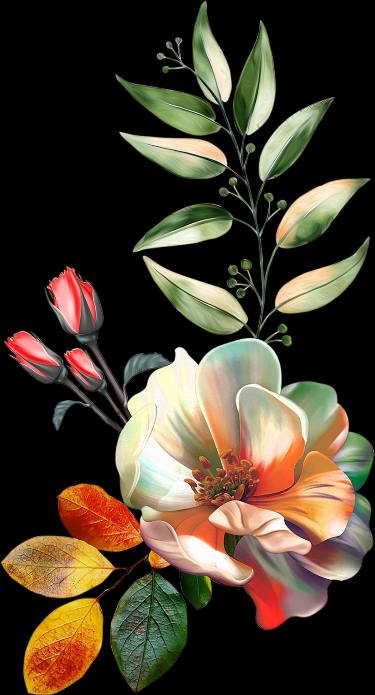 0c8bebe39107154ac3116f6233734e77.png