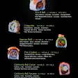صورة منيو Restaurant B.A.D Sushi