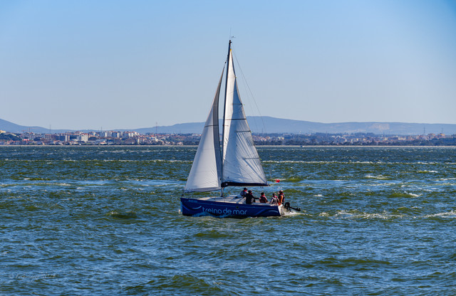 DSF5571.jpg