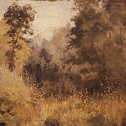 Парк в Ольшанке 1877