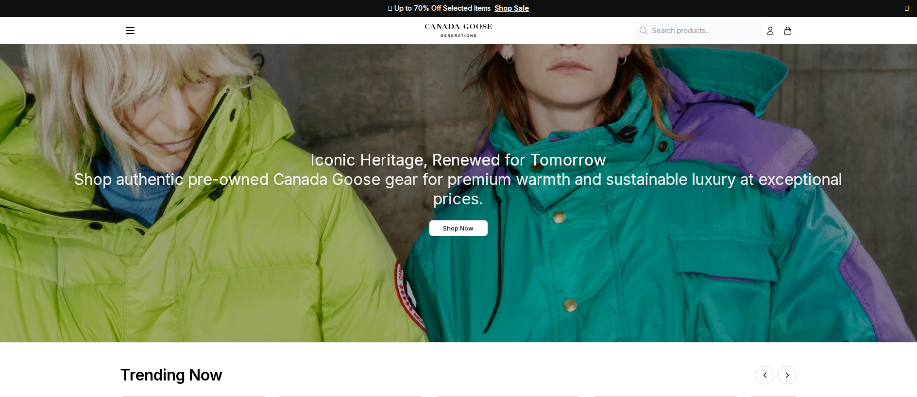 Stored capture of arcticgoose.shop