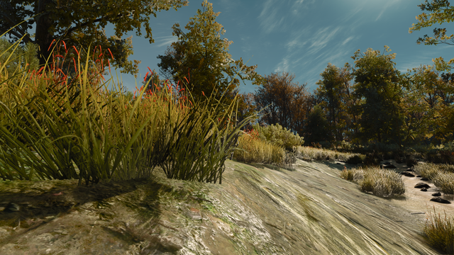 screenshot 82146