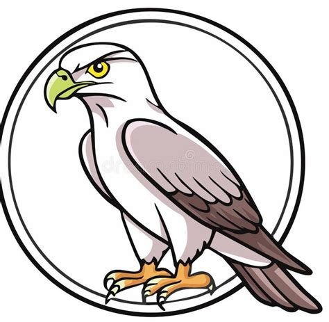 test11