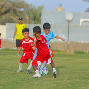 IMG 7701