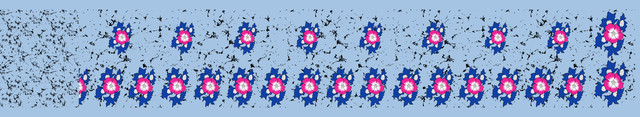 SRA 1436.jpg