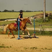 DSC03660