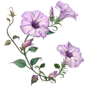 593aa61cc604d6b8946f10cc6ee7b3c5