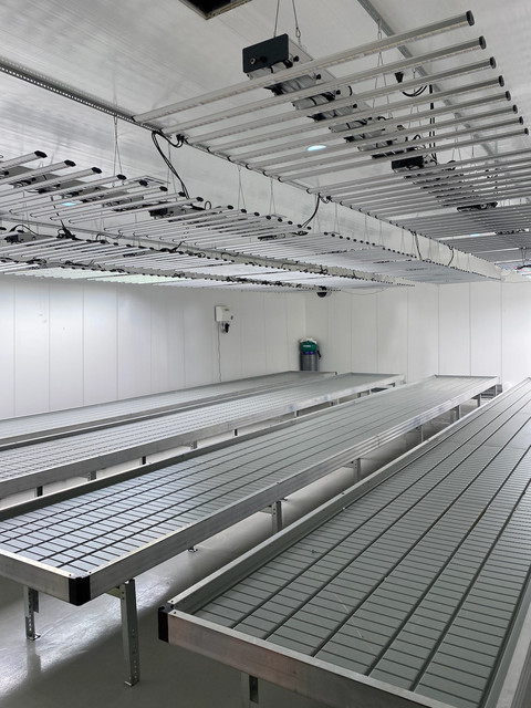 Create a high-performance grow room facility with Duramax PVC panels. Our PVC cannabis grow room walls require easy maintenance and do not require costly repairs. Duramax PVC panels are 100% moisture-resistant and offer a Class-1 fire rating. They comply with FDA standards and offer superior light-reflective properties. Place your order now. 

Learn more: https://www.duramaxpvcpanels.com/applications/grow-rooms/

LIMITED TIME PVC PROMOTION!

SAVE UP TO $500 when you buy online from Duramax PVC Panels. Hurry! Order before the offer ends on June 26, 2025. SHOP NOW!

Minimum Order: $1000