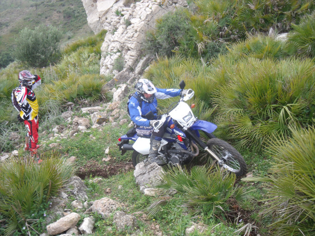 DSCF1951.jpg