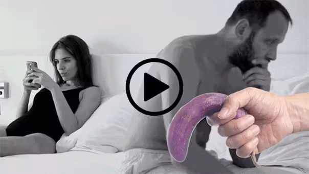 Watch the Horse Gelatin presentation