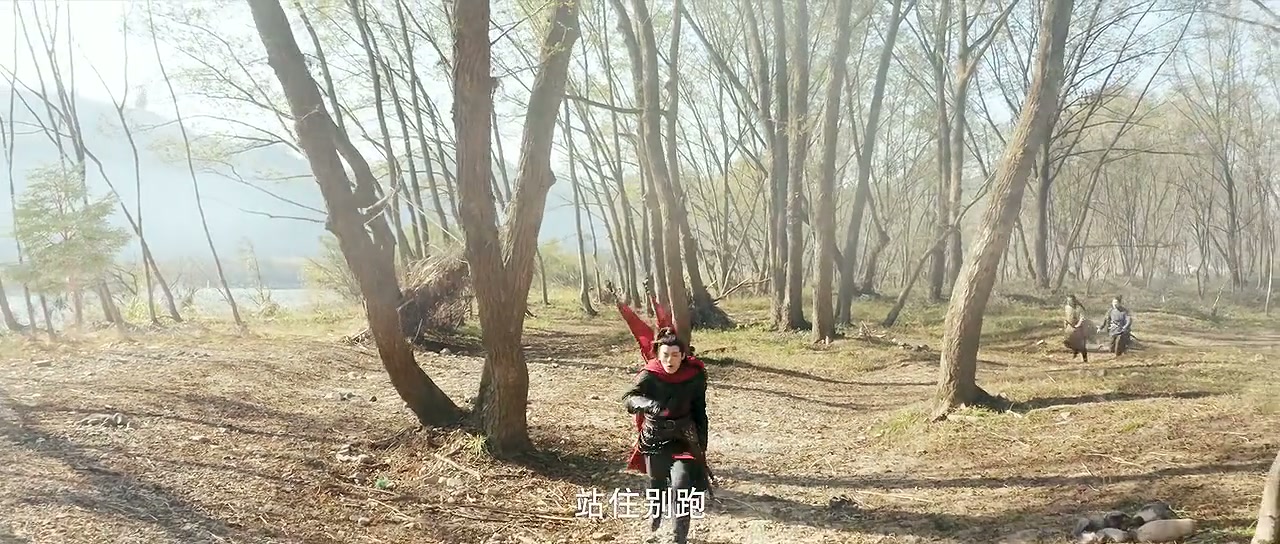 Martial Universe: The Immortal Stone of Nirvana Screenshot