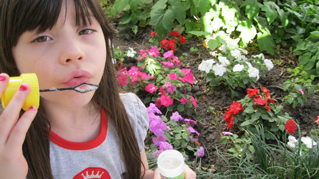 IMG 0207.jpg