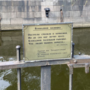 IMG-2784