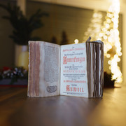 Book-Bokeh-ZEP-2-8