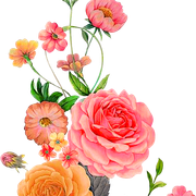 89f21b9d32d6918984f2e1ddb8fa9d12