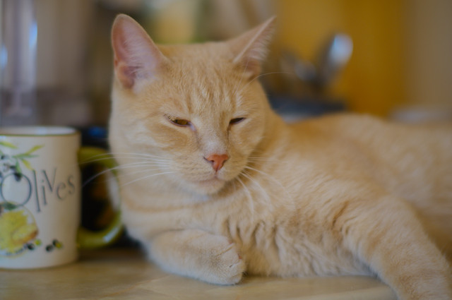 DSCF4179.jpg