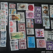 IMG-3084