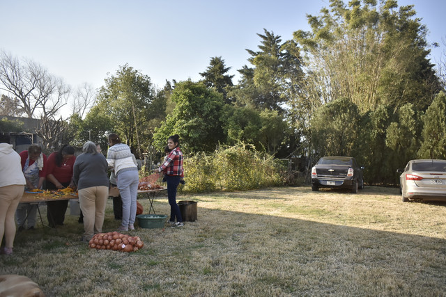 EMA8001.jpg