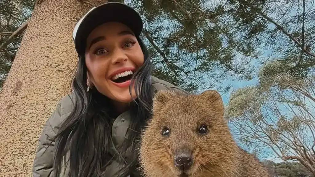 Katy Perry stunt în topul de susanțuitor și micro-miniscirt