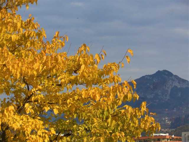 DSCN8367-2