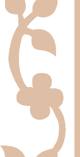 IMG 004 copy.png