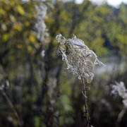 DSC7586