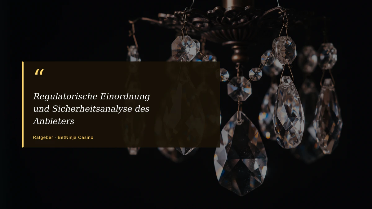 Regulatorische Einordnung und Sicherheitsanalyse des Anbieters