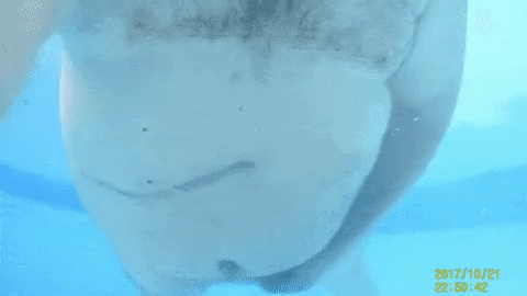 IsXolyw.gif
