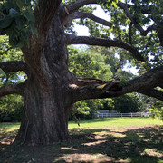 IMG 7767