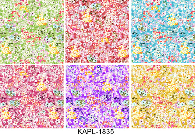 KAPL 1835.jpg