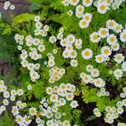IMG-20260610-102410.jpg