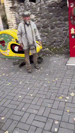 avywpwd-460sv.gif