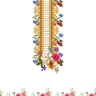 nc 3