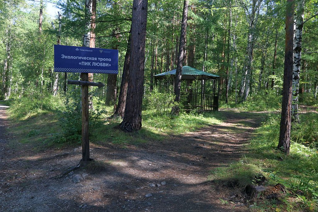IMG 0337.jpg