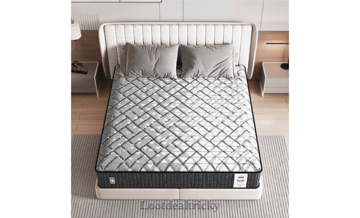 Springwel Dualis 2 – Fantastic Price Cut @ ₹9079 Springwel Dualis 2 – Fantastic Price Cut @ ₹9079