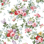 4a2b69e17983f9f355edd1373a1dd4ae.png