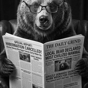 gazet