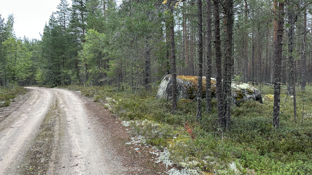 IMG 4982.jpg